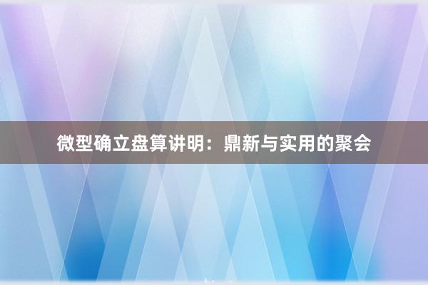 微型确立盘算讲明：鼎新与实用的聚会
